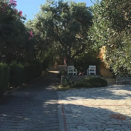 The Yellow Agios Nikolaos (Chalkidiki)