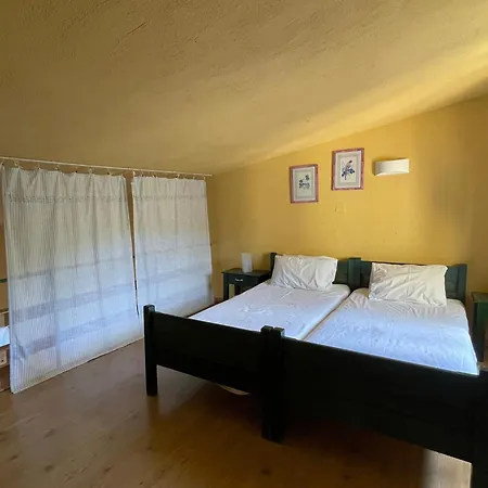 The Yellow Apartment Agios Nikolaos (Chalkidiki)