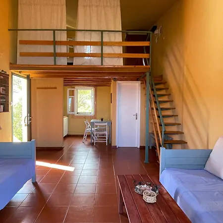 Apartment The Yellow Agios Nikolaos (Chalkidiki)