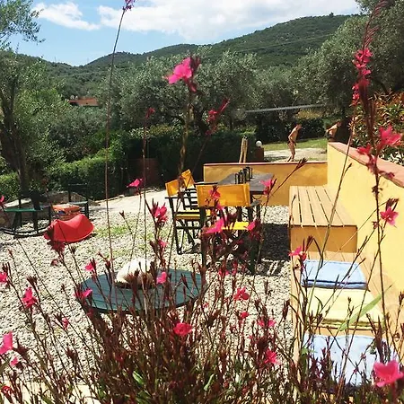 The Yellow Agios Nikolaos (Chalkidiki)