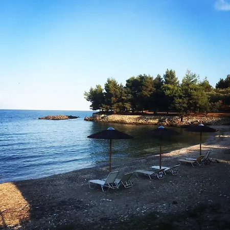 The Yellow * Agios Nikolaos (Chalkidiki)