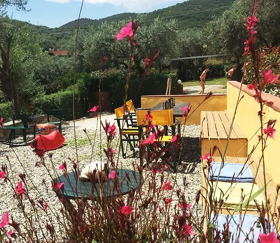 The Yellow Agios Nikolaos (Chalkidiki)