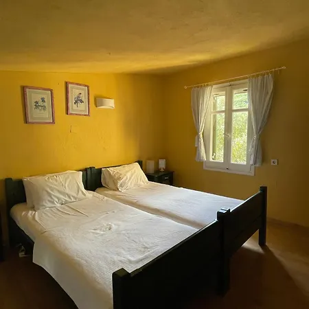 The Yellow Agios Nikolaos (Chalkidiki)